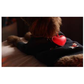 Джемпер для собак и кошек Зоозавр: отзыв пользователя. Зоомагазин Зоозавр