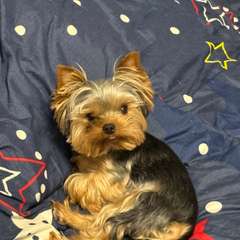 Фото отзыва 10952986