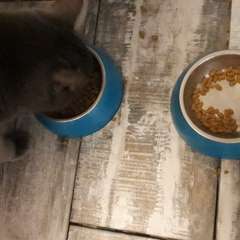 Фото отзыва 10576530