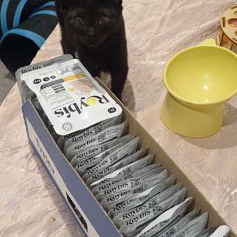 Корм для котят Roybis 85г для здорового роста и иммунитета с курицей кусочки в соусе: отзыв пользователя. Зоомагазин Зоозавр