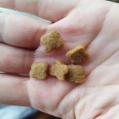 Фото отзыва 10578905