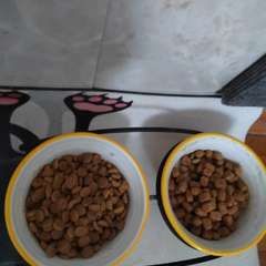 Фото отзыва 10637304