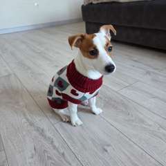 Фото отзыва 11029103