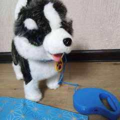 Фото отзыва 10610762