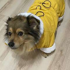 Фото отзыва 10465109