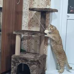 Фото отзыва 10858389