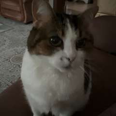 Фото отзыва 10775062