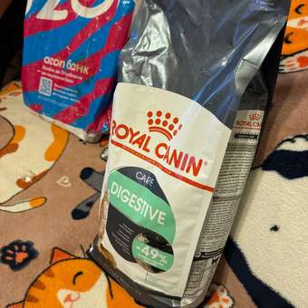 Корм сухой для кошек ROYAL CANIN 2кг Digestive care для поддержания здоровья пищеварительной системы: отзыв пользователя. Зоомагазин Зоозавр