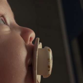 Пустышка Suavinex силикон ортодонтическая от 0 мес. 2 шт.: отзыв пользователя Детский Мир