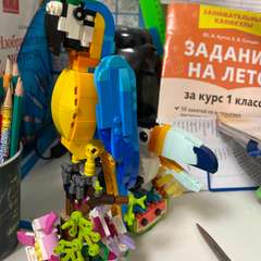 Фото отзыва 10517223