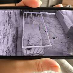 Фото отзыва 10536318