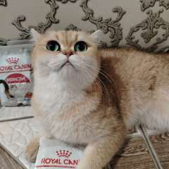 Фото отзыва 10666194