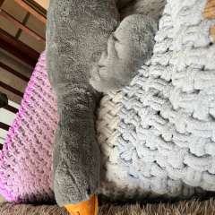 Фото отзыва 4982871