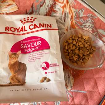 Корм сухой для кошек ROYAL CANIN Exigent Savour 400г привередливых к вкусу продукта: отзыв пользователя. Зоомагазин Зоозавр
