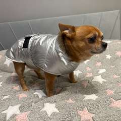 Фото отзыва 10659594