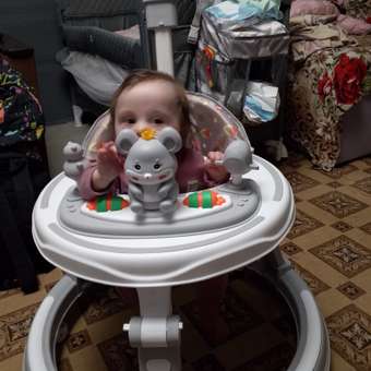 Ходунки EVERFLO серый: отзыв пользователя Детский Мир