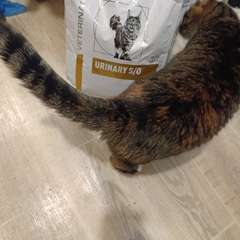 Фото отзыва 10613342