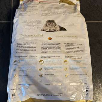 Корм сухой для кошек ROYAL CANIN Persian 4кг персидских: отзыв пользователя. Зоомагазин Зоозавр