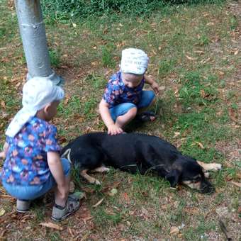 Бандана Чудо-Кроха: отзыв пользователя Детский Мир