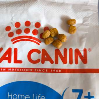 Корм сухой для кошек ROYAL CANIN Indoor 400г пожилых кошек постоянно проживающих в помещении: отзыв пользователя. Зоомагазин Зоозавр