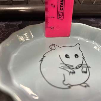 Миска для мелких животных Triol Хомка керамическая 55мл: отзыв пользователя. Зоомагазин Зоозавр