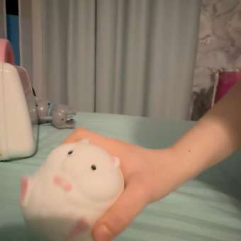 Игрушка-антистресс №1TOY жвачка для рук Хомяк в ассортименте: отзыв пользователя Детский Мир