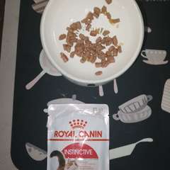 Фото отзыва 10435189