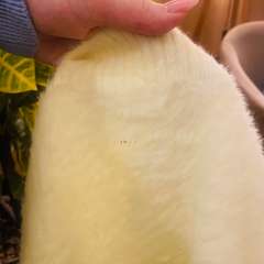 Фото отзыва 10872752