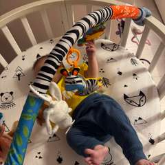 Фото отзыва 11067485