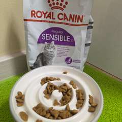 Фото отзыва 10539037