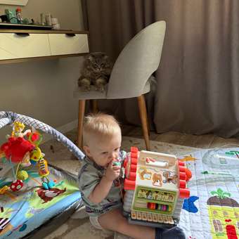 Игрушка BabyGo развивающий центр Домик: отзыв пользователя Детский Мир