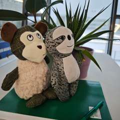 Фото отзыва 11061921