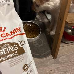 Фото отзыва 10981408