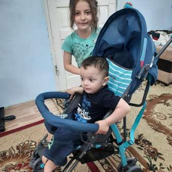 Коляска прогулочная Babyton Zoo Blue синий: отзыв пользователя ДетМир