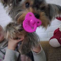 Фото отзыва 10918817