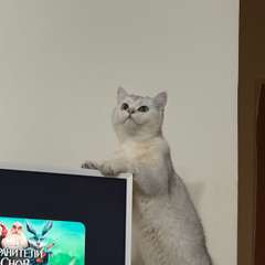 Фото отзыва 10968572