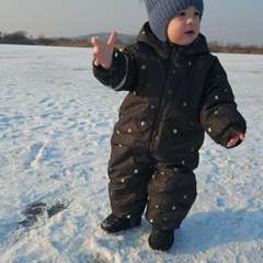 Фото отзыва 8414826