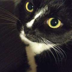 Фото отзыва 11279595