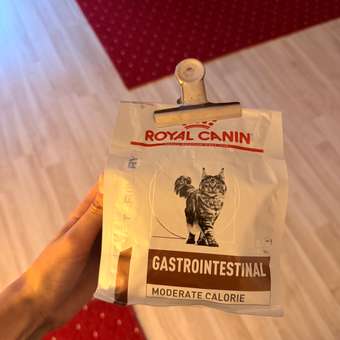 Корм для кошек ROYAL CANIN Gastrointestinal Moderate Calorie при расстройствах пищеварения 350г: отзыв пользователя. Зоомагазин Зоозавр