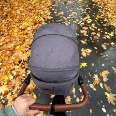 Фото отзыва 10891924