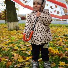 Фото отзыва 10566346