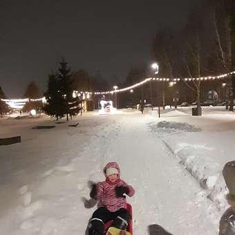 Ледянка Green Plast: отзыв пользователя Детский Мир