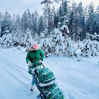 Санки-коляска NiKA kids НД7-8SK/2: отзыв пользователя Детский Мир