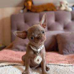 Фото отзыва 10718351