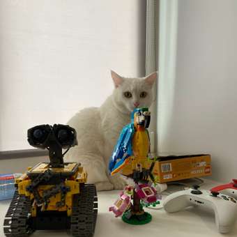 Конструктор LEGO Creator Exotic Parrot 253 дет.: отзыв пользователя Детский Мир