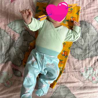 Ползунки Si baby: отзыв пользователя Детский Мир