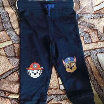 Брюки Paw Patrol: отзыв пользователя ДетМир