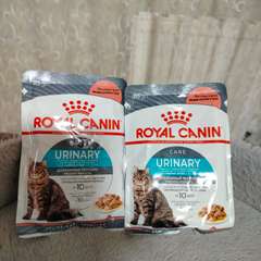 Фото отзыва 10295480