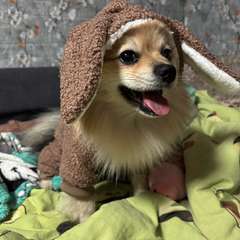 Фото отзыва 10321730