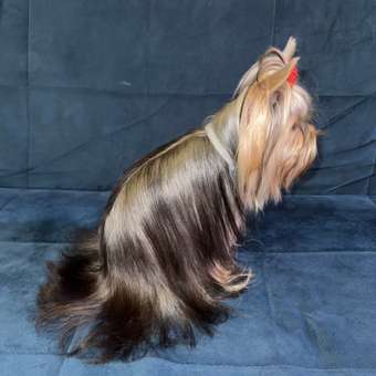 Ошейник для щенков и собак RolfClub3D мелких пород от блох и клещей 40см: отзыв пользователя. Зоомагазин Зоозавр